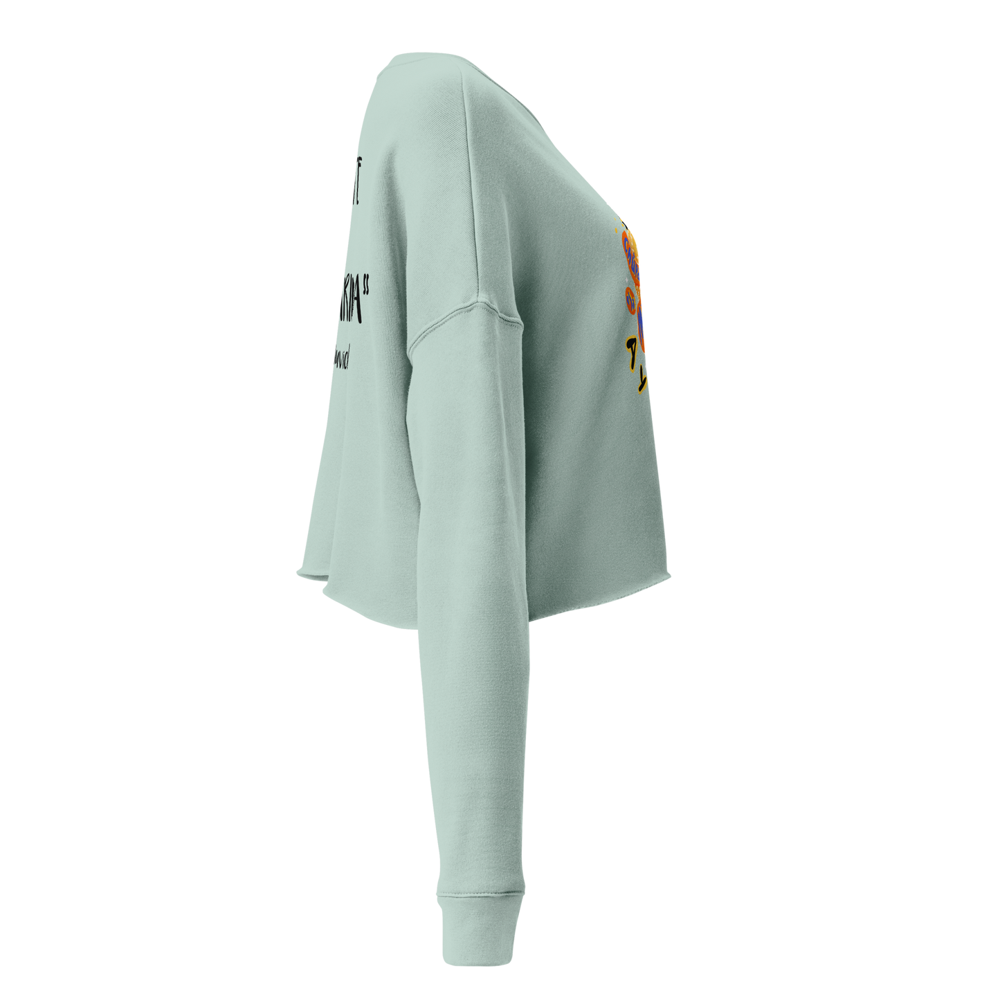 Aymee Crop Sweatshirt